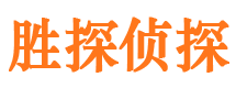 新县市私家侦探